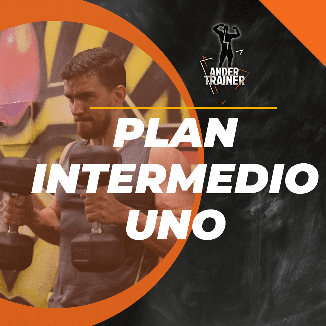 PLAN INTERMEDIO 1