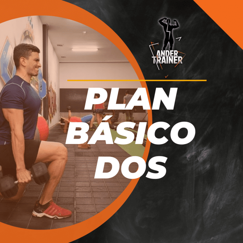 PLAN BÁSICO 2